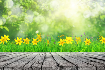 wooden table and spring grass and tree leaves background