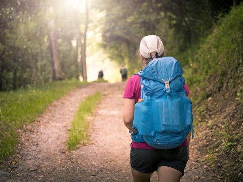 a girl with backpack travels along forest in Camino de Santiago