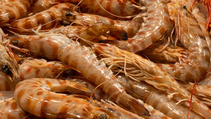 Close up shot of prawns in ice in the fish market in Barcelona