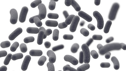 Batteri al microscopio su sfondo bianco.