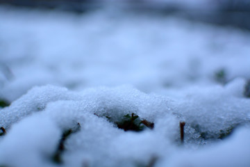 Closeup of snow forming on surfaces.