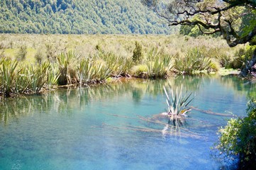 New Zealand Roadtrip