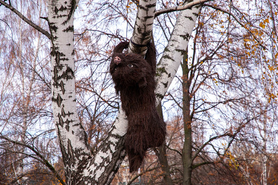Baby bear made of birch tree branches, part of decoration at the city park, Oryol city, Russia