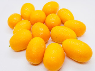 Citrus japonica, Kumquat, Cumquat 
