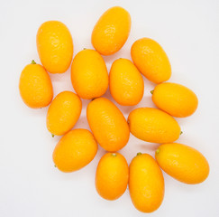Citrus japonica, Kumquat, Cumquat 