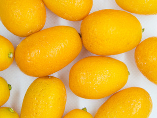 Citrus japonica, Kumquat, Cumquat 