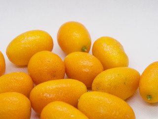 Citrus japonica, Kumquat, Cumquat 