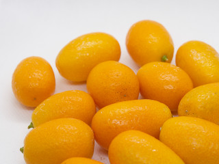 Citrus japonica, Kumquat, Cumquat 