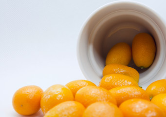 Citrus japonica, Kumquat, Cumquat 