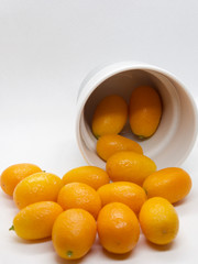 Citrus japonica, Kumquat, Cumquat 