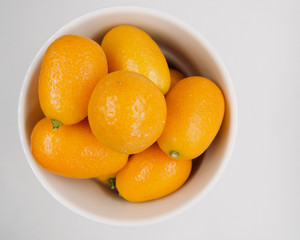 Citrus japonica, Kumquat, Cumquat 
