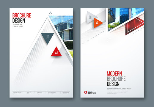 Business Report Cover Layouts with Triangles