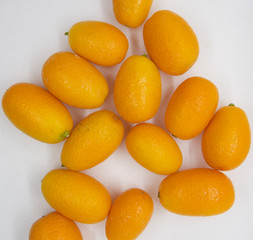 Citrus japonica, Kumquat, Cumquat 