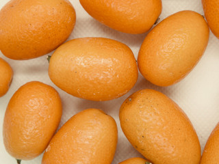 Citrus japonica, Kumquat, Cumquat 