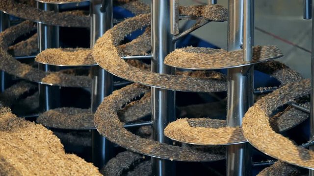 Special machine drying seeds, close up.