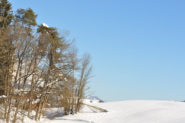 Urlaub in den Bergen