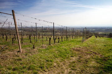 Obraz premium Monticelli Pavese (Pavia, Lombardia)