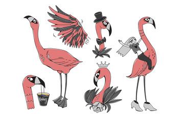 Set with a flamingo. Collection with illustration of cartoon exotic bird and girl sitting on the flamingo. Graphic modern illustration. Can be used as stickers, prints, etc.