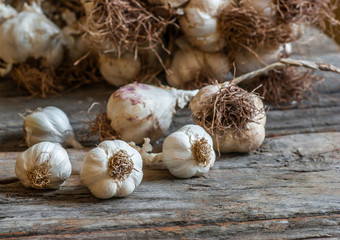 Fresh organic Garlics on wooden background 