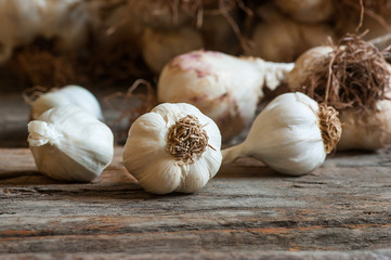 Fresh organic Garlics on wooden background 