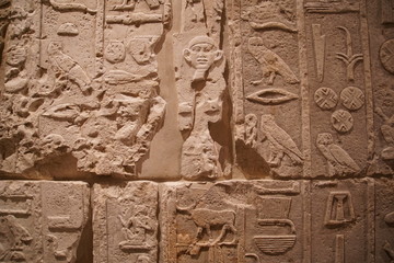 Ancient egyptian hieroglyphs