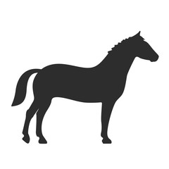 Horse vector icon