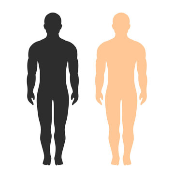 Male body vector silhouette