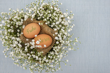 2 chicken eggs nature on a piece of woven fabric bordered by gypsophila heart-shaped, dove-blue...