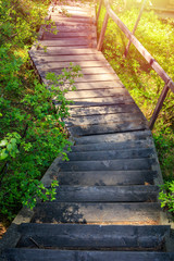 Old wooden path on the descent from the mountain through the forest. Background Texture