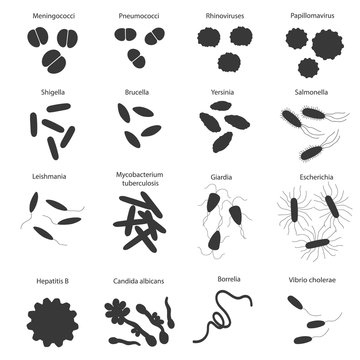 Big black set with different dangerous viruses and germs with its names. Vector illustration for education on microbiology