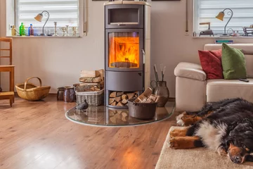 Foto op Plexiglas HDR brennender Kamin im Wohnzimmer mit schlafendem Hund davor © Lilli