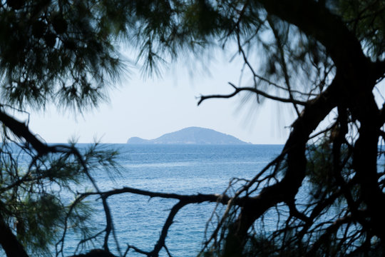 Blue sea water and Greece Turtle island through the branches of trees