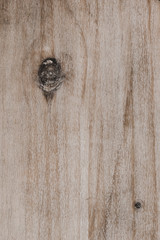 Rustic wooden background with knots.  grunge wood texture.