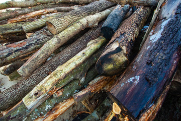 Fototapeta na wymiar large pile of raw, old logs and firewood, background, texture