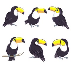 An illustration of a nice toucan in vector format. A cute toucan bird image for kid's education and fun in nursery and schools, and decoration purposes. Jungle animals collection