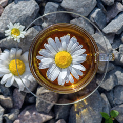 Green chamomile tea on the background of stones. Cup of tea with a white chamomile, close-up, lit...