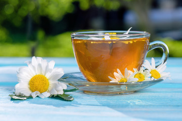 Chamomile green tea. Cup of tea with chamomile, close-up, lit by sunlight, on a light blue wooden table.