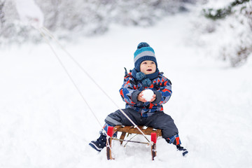 Fototapeta na wymiar Adorable young boy on a sledge