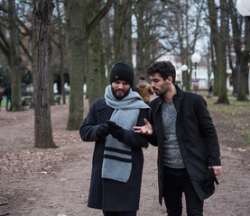 two young guys friends with beards look at the phone while walking in a park