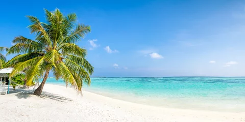 Foto op Plexiglas Strandvakantie op een tropisch eiland © eyetronic