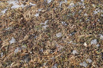 Plowed spring field. The beginning of the season of field work. Agro-industrial farm business. Snow melts on the ground. Warming and changing seasons. Farewell winter. Awakening Breed