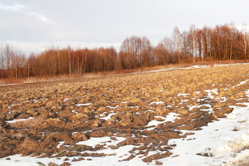 A plowed spring field at the edge of a bare forest. The beginning of the season of field work. Agro-industrial farm business. Snow melts on the ground. Warming and changing seasons. Farewell winter.