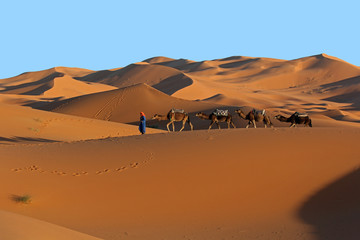 Fototapeta na wymiar Camel caravan trekking in the Sahara desert