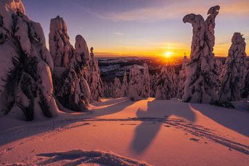 Stunning winter mountain landscape at sunset or sunrise. Low trees covered with snow, sun peaking...