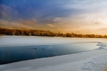 Ducks on the River in Winter, Nature, Winter Forest, Grove, Cold, Frozen River