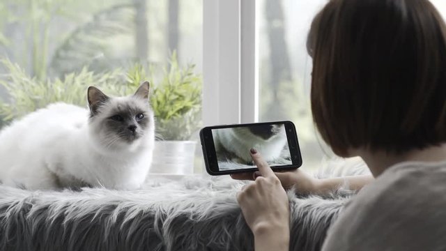 Woman watching pictures of her cute cat on the smartphone