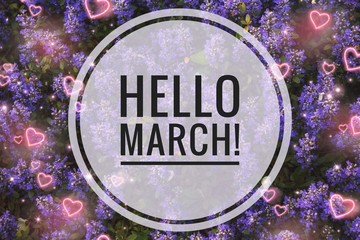 Banner hello march. Greetings of spring. We are waiting for spring. Hello march