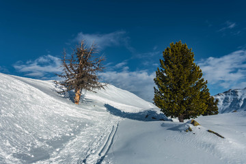 Skitour aufs Faltegartenkögele