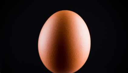 Fresh egg on black background