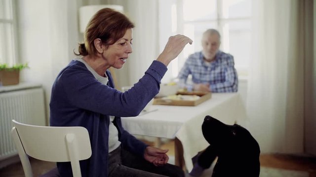 A senior couple with a pet dog sitting at the table at home, having breakfast.